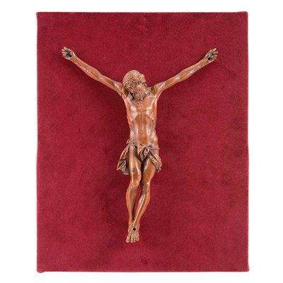 Lot 124 - Continental Boxwood Corpus Christi Height 12...