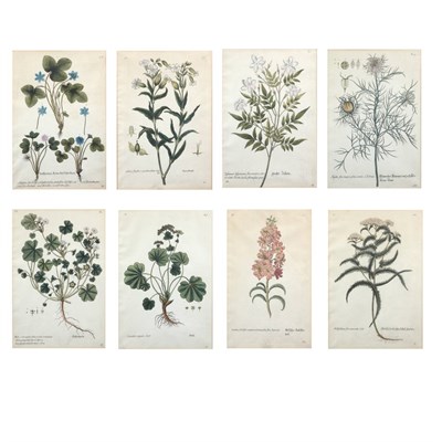 Lot 99 - Artist Unknown [FLOWER STUDIES] Eight...