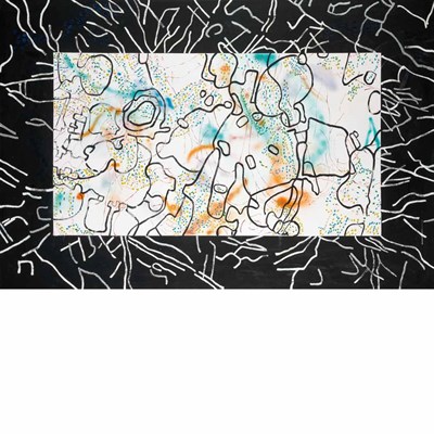 Lot 156 - Nancy Graves American, 1940-1995 Variate, 1981...