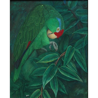 Lot 77 - Elizabeth Buttersworth English, b. 1949 Parrot...