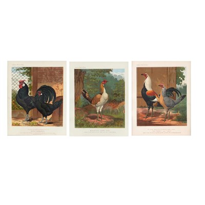 Lot 82 - Vincent, Brooks, Day & Son, lithographers...