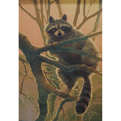 Lot 220 - Francis Lee Jaques American, 1887-1969 Raccoon...