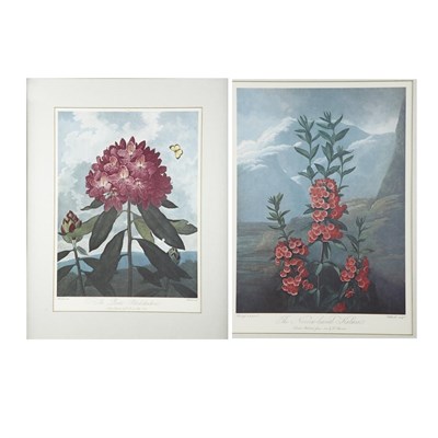 Lot 83 - Dr. Robert J. Thornton, publisher THE CHINA...