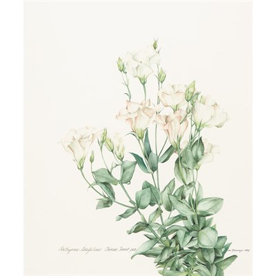 Lot 89 - James M. Steinmeyer American, 20th/21st...