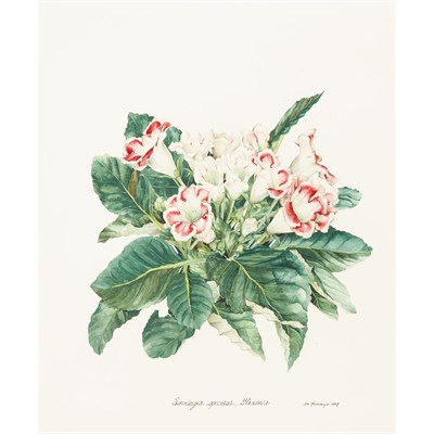 Lot 88 - James M. Steinmeyer American, 20th/21st...