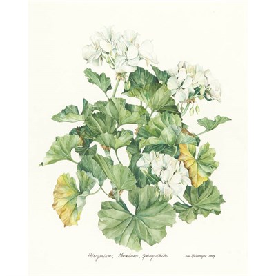 Lot 87 - James M. Steinmeyer American, 20th/21st...