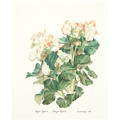 Lot 86 - James M. Steinmeyer American, 20th/21st...