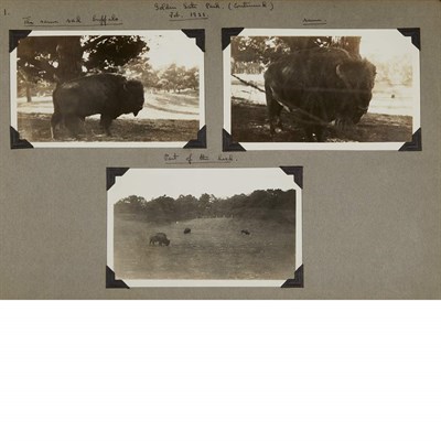Lot 44 - [TRAVEL PHOTOGRAPHY] Group of three albums of...
