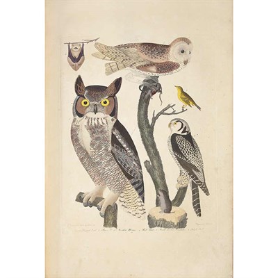 Lot 83 - WILSON, ALEXANDER American Ornithology. [New...