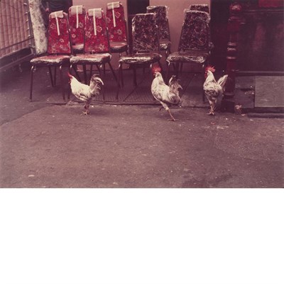 Lot 29 - LEVITT, HELEN (1913-2009) [Three Roosters], C...
