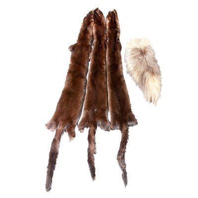 Lot 1161 - Group of Fur Fragments Comprising three mink...