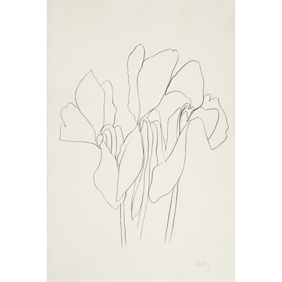 Lot 352 - Ellsworth Kelly CYCLAMEN V (A. 40) Lithograph,...