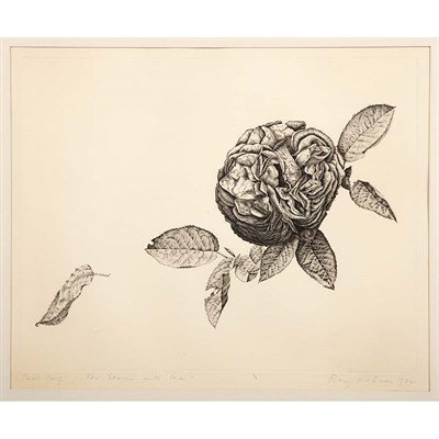 Lot 1224 - Rory McEwen [ROSE STUDY] Etching, 1972, signed,...