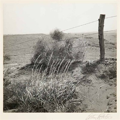 Lot 43 - ROTHSTEIN, ARTHUR [Erosion on farmland, 1930s],...
