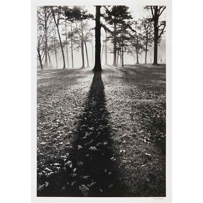 Lot 5 - EISENSTAEDT, ALFRED (1898-1995) Autumn morning...