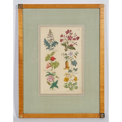 Lot 111 - Sir John Hill [FLOWER STUDIES] Four...