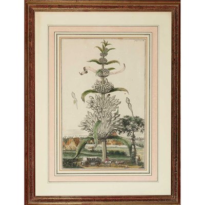 Lot 118 - Various Artists [PLANT AND LANDSCAPE STUDIES]...