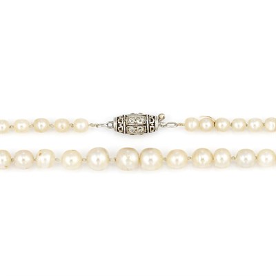 Lot 354 - Pearl Necklace with Platinum and Diamond Clasp