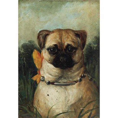 Lot 262 - English School 20th Century Pug Oil on board...