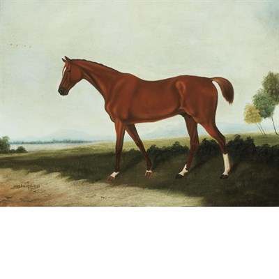 Lot 248 - 20th Century School Horse in Landscape Signed...