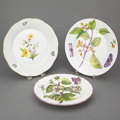 Lot 146 - Set of Twelve Mottahedeh Hans Sloane Porcelain...