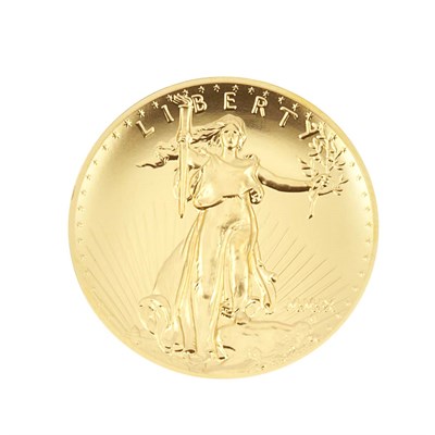 Lot 405 - United States, 2009 Ultra High Relief Double...