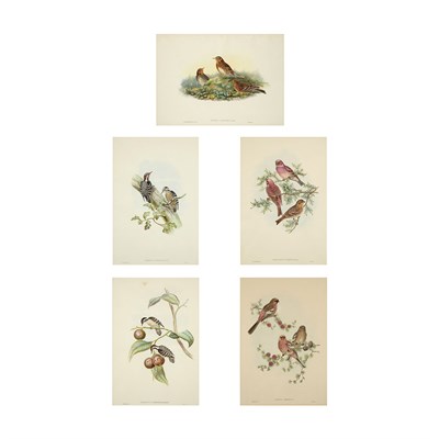 Lot 108 - J. Gould & H. C. Richter [BIRD STUDIES] Five...