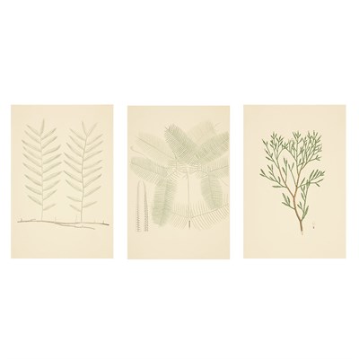 Lot 103 - After J.R. Miller BANKS' FLORILEGIUM: NEW...