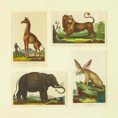 Lot 63 - Various Artists [ANIMAL STUDIES] Sixteen...