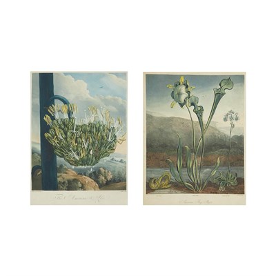 Lot 79 - Dr. Robert Thornton, publisher THE AMERICAN...