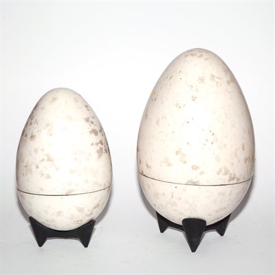 Lot 154 - Two Faux Ostrich Egg Form Boxes on Stand...