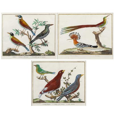 Lot 102 - Francois Martinet [BIRD STUDIES] Eight...