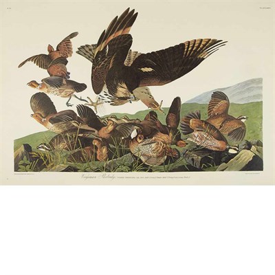 Lot 89 - After John James Audubon VIRGINIAN PARTRIDGE...