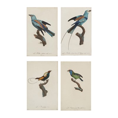 Lot 172 - After Jacques Barraband [TROPICAL BIRD...