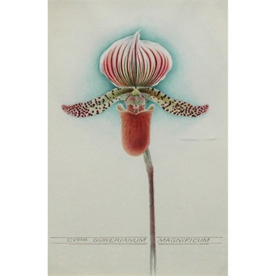Lot 108 - John Nugent Fitch British, 1840-1927...