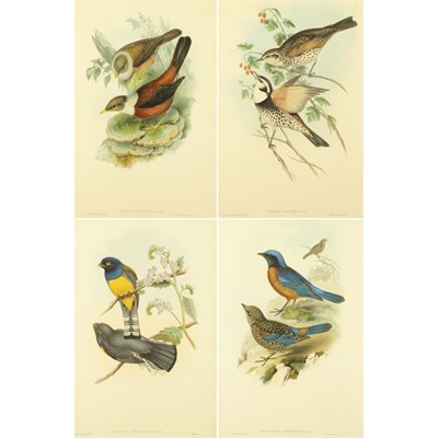 Lot 71 - J. Gould & H.C. Richter [BIRD STUDIES] Sixteen...