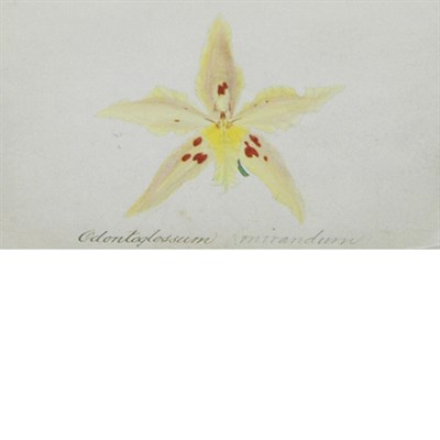 Lot 107 - John Nugent Fitch British, 1840-1927...
