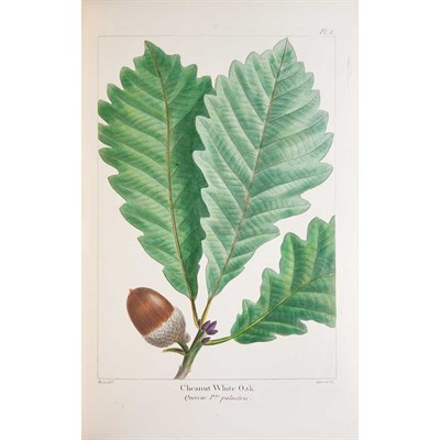 Lot 256 - [COLOR PLATE - BOTANICAL] MICHAUX, F. ANDREW...