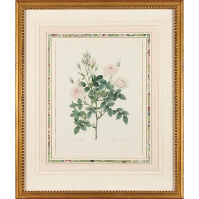 Lot 75 - After Pierre-Joseph Redoute [FLOWER STUDIES]...