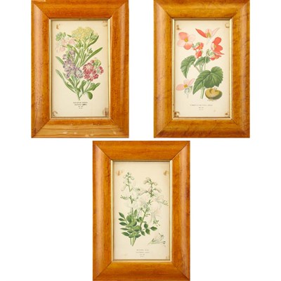 Lot 74 - Artist Unknown [FLOWER STUDIES] Three...