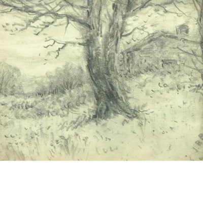 Lot 1054 - Emil Carlsen American, 1853-1932 Tree Study...