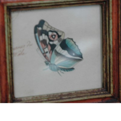 Lot 1164 - American School 19th/20th Century Butterfly...