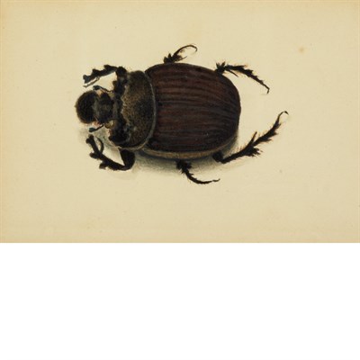 Lot 1163 - Attributed to Albert Bierstadt African Beetle...