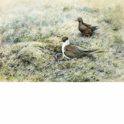 Lot 47 - George Edward Lodge British, 1860-1954 Arctic...
