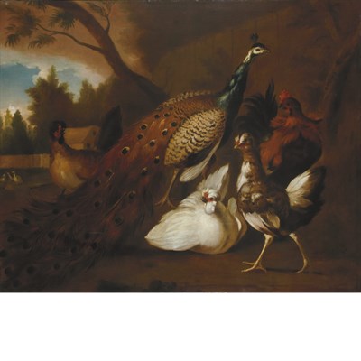 Lot 88 - Follower of Melchior de Hondecoeter Peacock,...