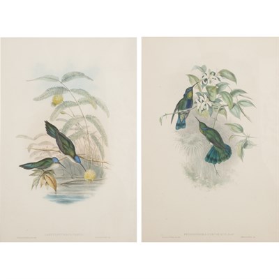 Lot 195 - J. Gould & H.C. Richter [HUMMINGBIRD STUDIES]...