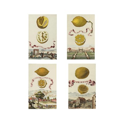 Lot 226 - Johann Volckamer [CITRUS AND LANDSCAPE...