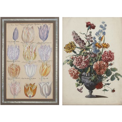 Lot 263 - Artist Unknown [TULIP STUDIES] Three...