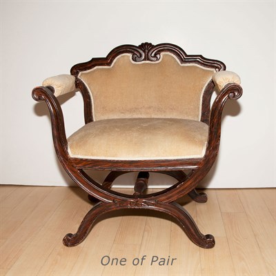Lot 202 - Pair of Grain Painted Curule Chairs