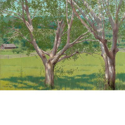 Lot 86 - Joseph Evans American, 1857-1898 Cornish, 1893...